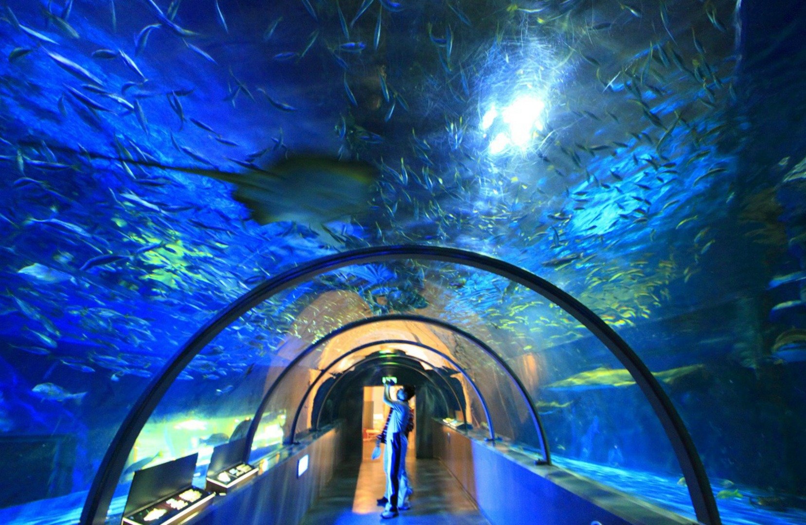 🏰 노보리베쓰 마린파크 닉스 이미지 5